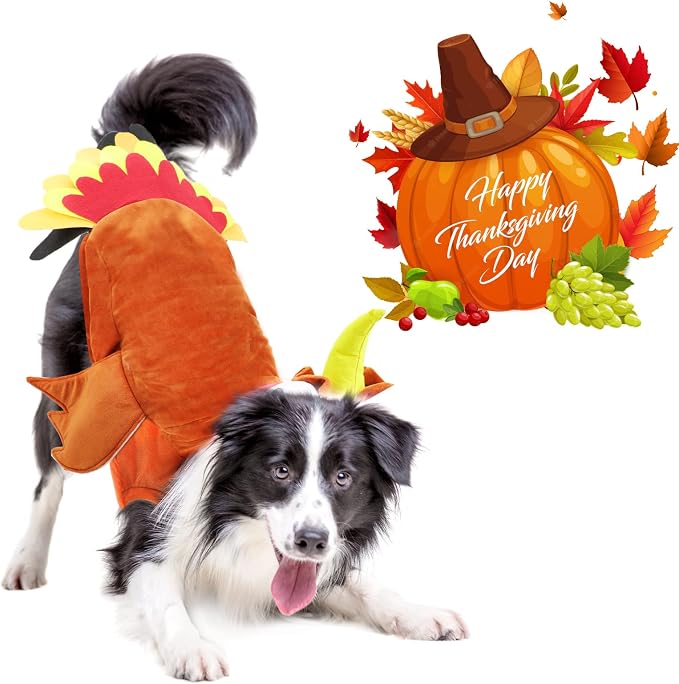 BWOGUE Turkey Dog Costume Thanksgiving Apparel Pet Costume - Image 5