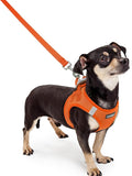 rabbitgoo Dog Harness Small Sized and Leash Set, Step in Soft Light Puppy Vest by rabbitgoo