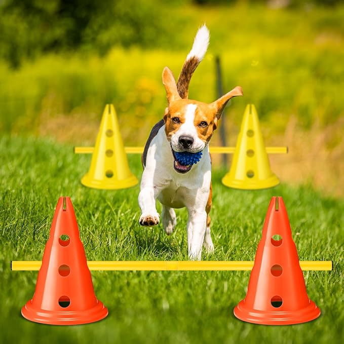 Dog Agility Hurdle Cone Set Dog Agility Course Backyard Set - Image 5
