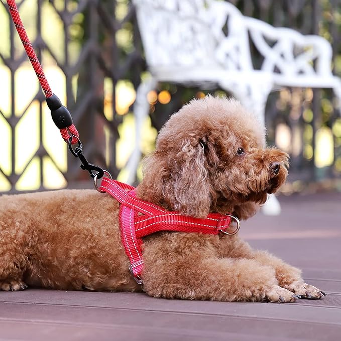 Plutus Pet No Pull Dog Harness - Image 5