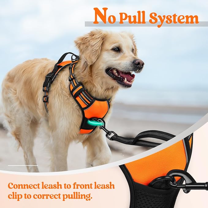 rabbitgoo Dog Harness No Pull - Image 5