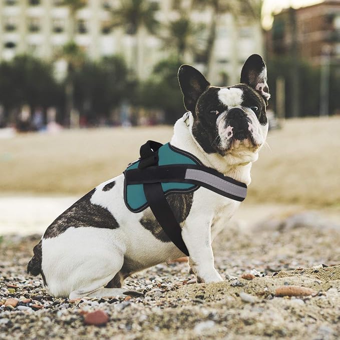 Bolux Dog Harness, No-Pull Reflective Dog Vest, Breathable Adjustable Pet - Image 5
