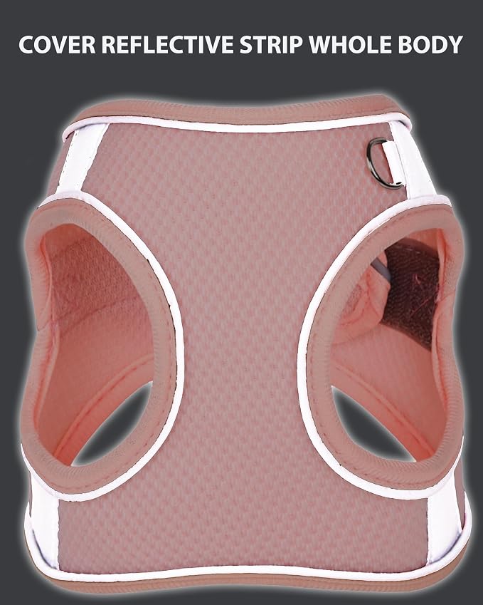 Dog Harness for Small Medium Sized Dog, Step in Puppy Harness and Leash Set - Image 4