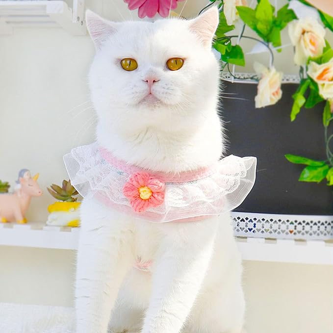 Cat Harness Collar and Leash Set, Sweet Lace Floral Kitten Collar, Escape Proof - Image 4