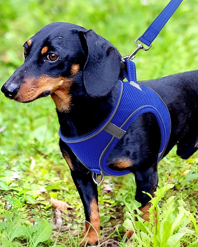Joytale Small Dog Harness, Breathable Mesh Step-in Vest, Reflective Soft Padded - Image 2