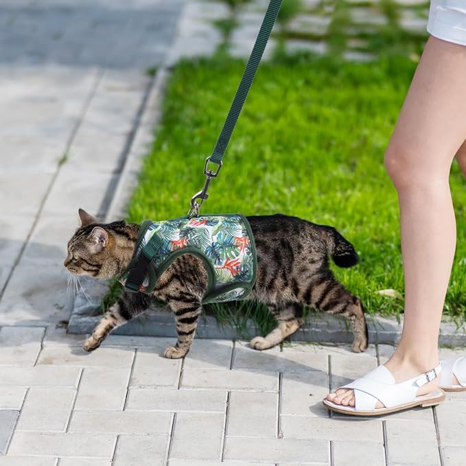 BINGPET Cat Harness and Leash Set Escape Proof - Image 6