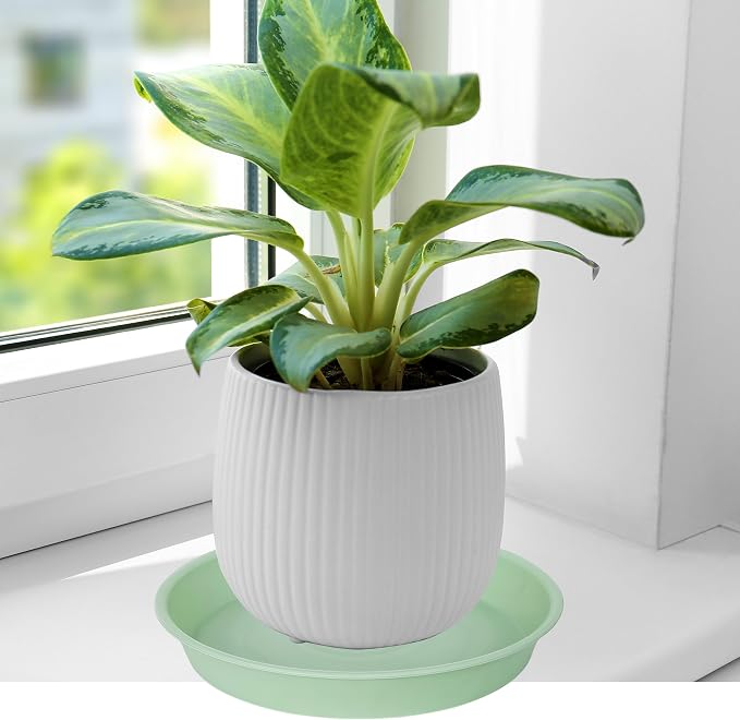 6 Pack of 10 inch Plant Saucer Blue, Heavy Duty Plastic Plant Saucer 10 inch - Image 4