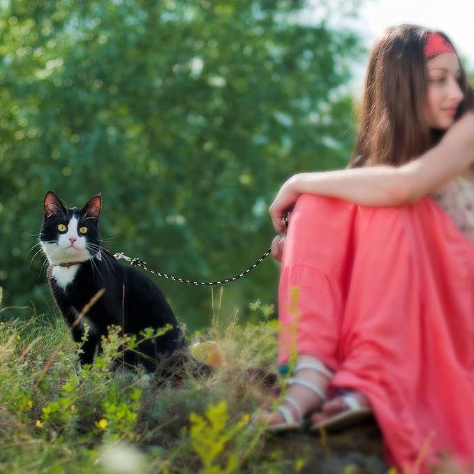Rypet Reflective Cat Long Leash - 15 FT Escape Proof Walking Leads Yard Long - Image 8