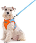 rabbitgoo Dog Harness Medium Sized and Leash Set, Step in Soft Light Puppy Vest by rabbitgoo