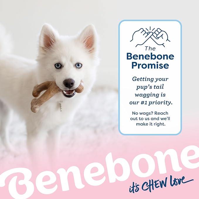 Benebone Puppy Wishbone Dog Chew Toy, Made in USA, Real Bacon Flavor - Image 6