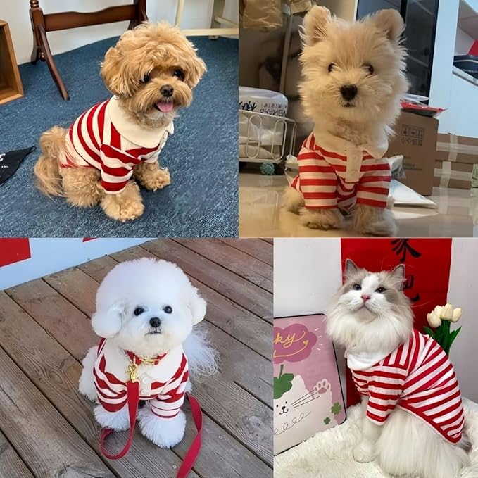 MANON ROSA Dog Clothes, Designer Boy Polo Shirt - Image 2