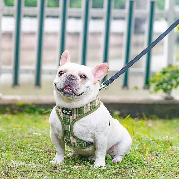 PUPTECK Soft Mesh Dog Harness and Leash Set Pet Puppy Cat Comfort Padded Vest - Image 7
