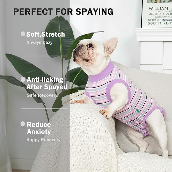 Sebdtico Recovery Suit for Dogs, Dog Surgery Suit Female Spay, Soft Dog Onesie - Image 2