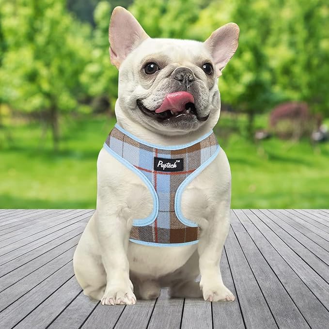 PUPTECK Soft Mesh Dog Harness and Leash Set Pet Puppy Cat Comfort Padded Vest - Image 7