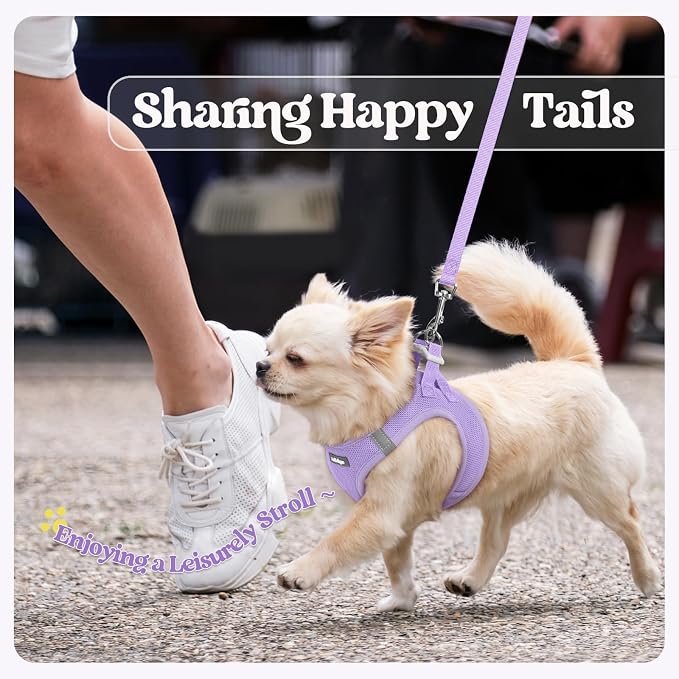 rabbitgoo Dog Harness Small Medium Sized and Leash Set, Step in Soft Light - Image 9
