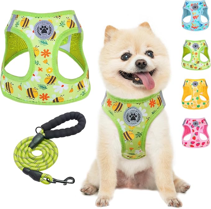 BEAUTYZOO Step in Dog Harness and Leash Set, Reflective Dog Harness No Pull No by BEAUTYZOO