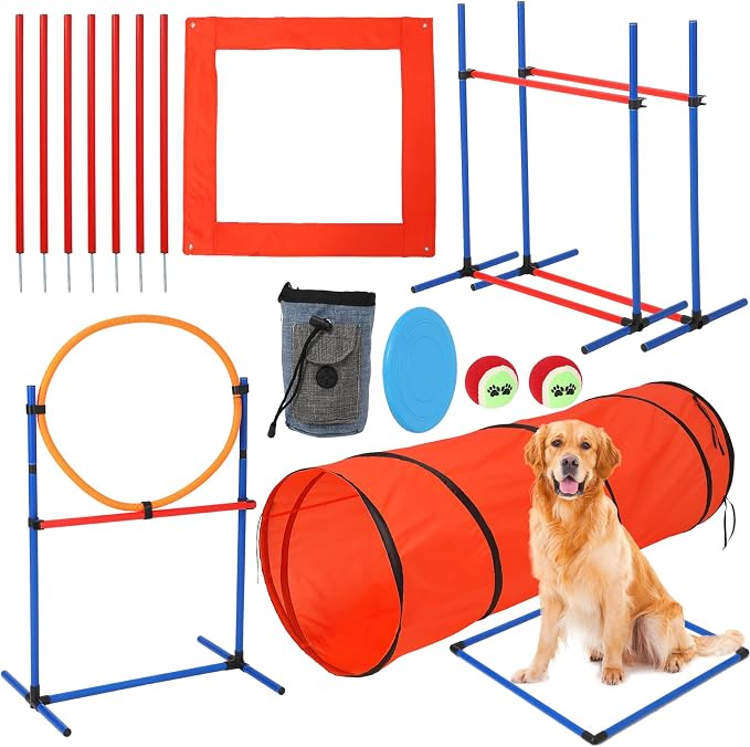 Portable Dog Agility Equipment by Unknown