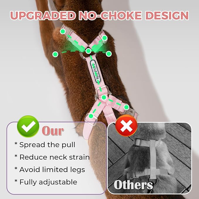 Cat Harness and Leash Set - Image 3