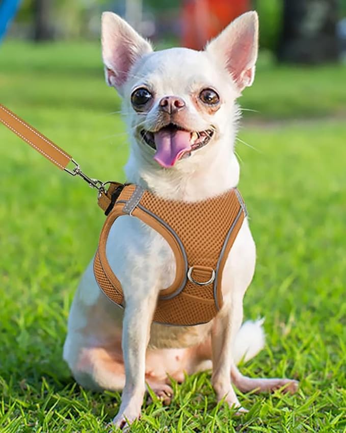 Joytale Small Dog Harness, Breathable Mesh Step-in Vest, Reflective Soft Padded - Image 2