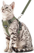 Cat Harness and Leash Escape Proof Small Kitten Harness Abyssinian Cat Vest by pangdi