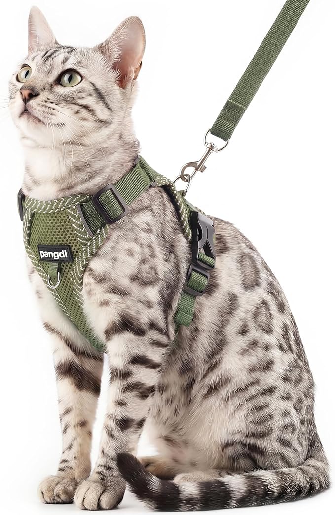 Cat Harness and Leash Escape Proof Small Kitten Harness Abyssinian Cat Vest by pangdi