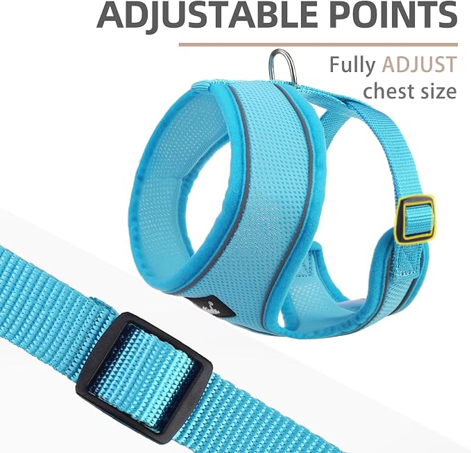 PUPTECK Soft Mesh Dog Harness and Leash Set Pet Puppy Cat Comfort Padded Vest - Image 3