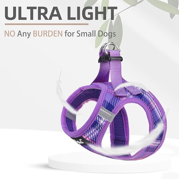 PUPTECK Dog Harness and Leash Set - Image 5