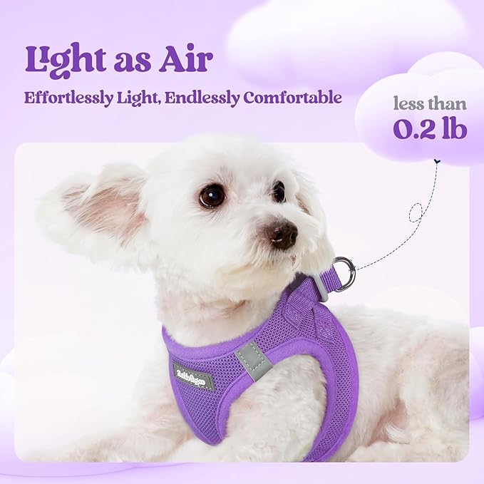 rabbitgoo Dog Harness Small Sized and Leash Set, Step in Soft Light Puppy Vest - Image 3
