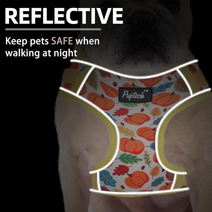 PUPTECK Thanksgiving Fall Small Dog Harness and Leash Set, No Pull Adjustable - Image 5
