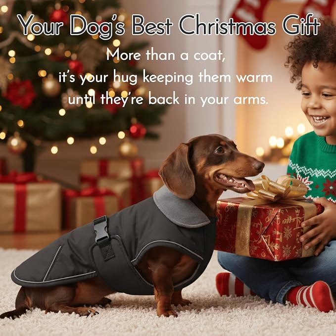 Waterproof & Windproof Dachshund Coat - Image 8