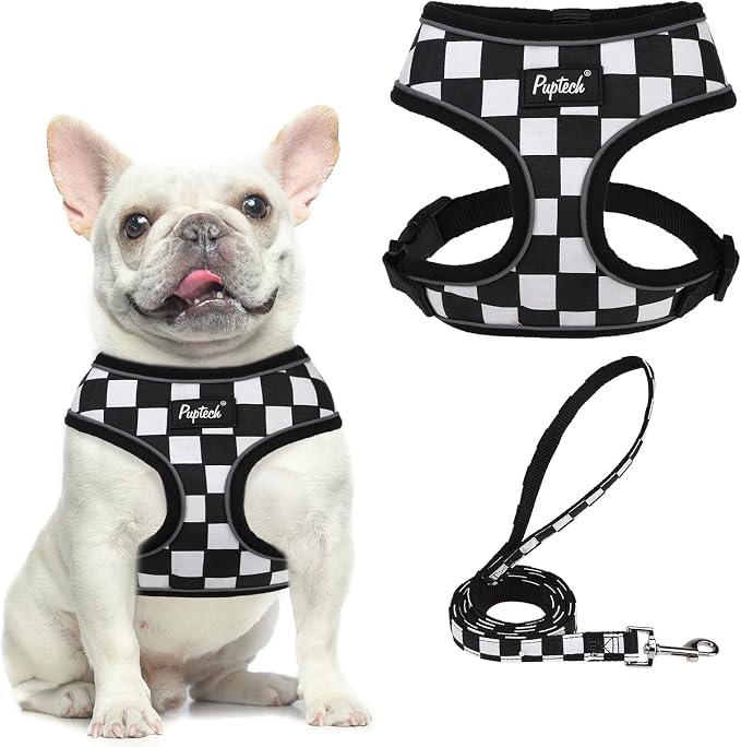 PUPTECK Soft Mesh Dog Harness and Leash Set Pet Puppy Cat Comfort Padded Vest by PUPTECK