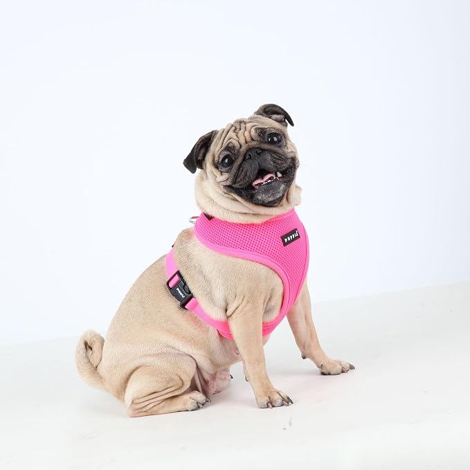 Puppia Neon Dog Harness Over-The-Head No Choke No Pull Walking Training - Image 4