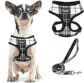 PUPTECK Soft Mesh Dog Harness and Leash Set Pet Puppy Cat Comfort Padded Vest by PUPTECK
