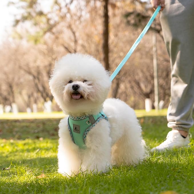 Dog Harness and Leash Set, No Pull Pet Harness - Image 7