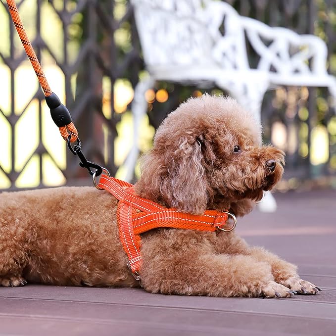 Plutus Pet No Pull Dog Harness - Image 5