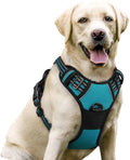 rabbitgoo Dog Harness No Pull by rabbitgoo