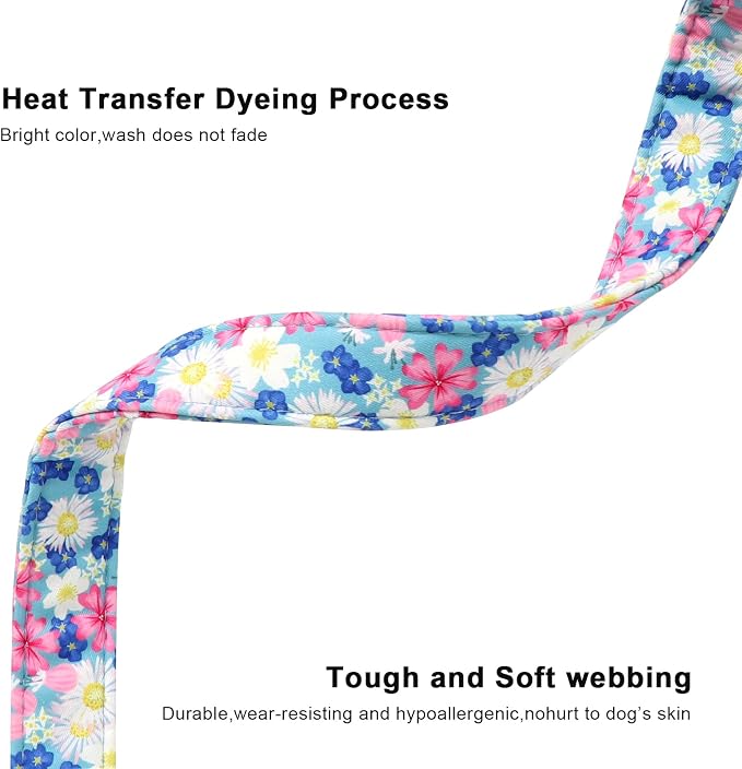 Lionet Paws Floral Dog Collar- Cute Spring Wildflowers Daisy Forget Me Not Dog - Image 5