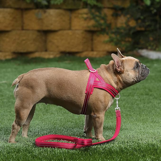 Plutus Pet No Pull Dog Harness - Image 5