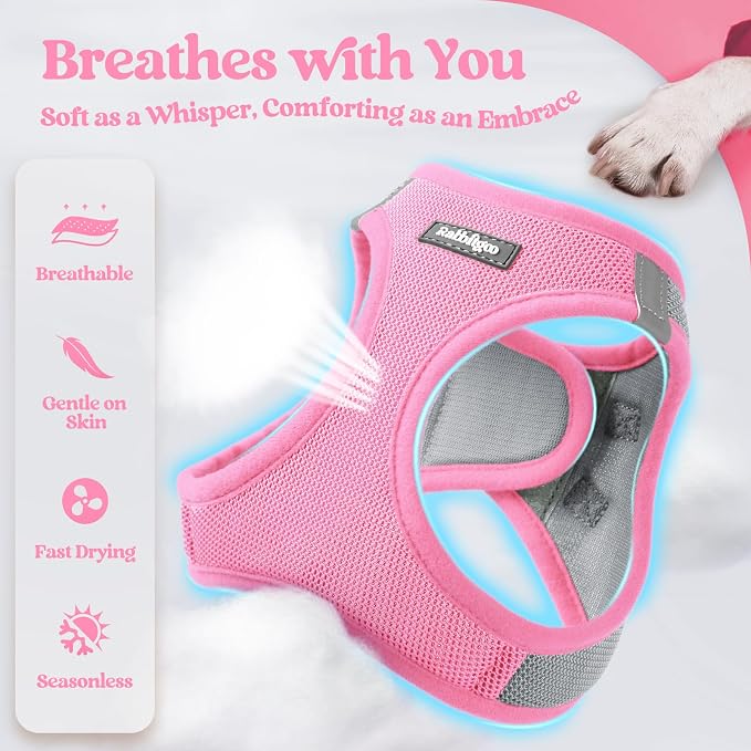 rabbitgoo Dog Harness Small Sized and Leash Set, Step in Soft Light Puppy Vest - Image 3