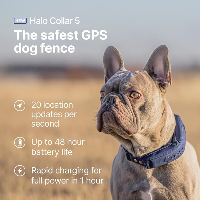 Halo Collar 5 Wireless Dog Fence & GPS Dog Collar, Keep Your Dog Safely - Image 2