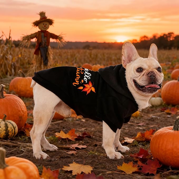 EXPAWLORER Fall Dog Hoodie-Soft and Warm Dog Sweaters, Pet Clothes Autumn - Image 8