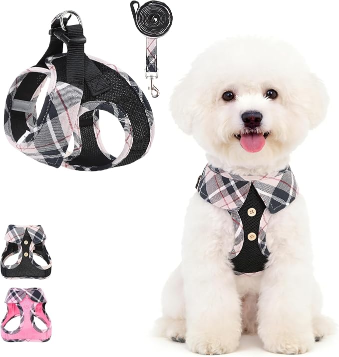 KOOLTAIL Dog Harness and Leash Set, Cute Dog Harness Medium Sized Dog, Step in by KOOLTAIL