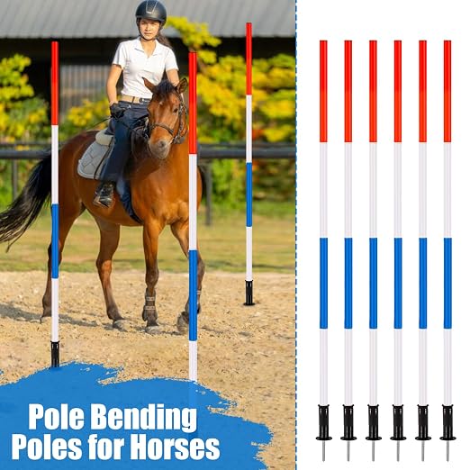 6 Pcs Pole Bending Poles for Horses - Image 6
