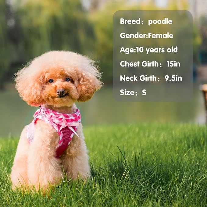 PUPTECK Dog Harness for Puppy and Small Sized Dogs, Step-in No Pull Soft Mesh - Image 6