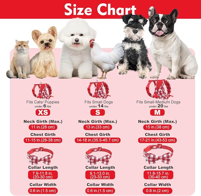 EXPAWLORER Cute Dog Harness Collar Leash Set - Image 5