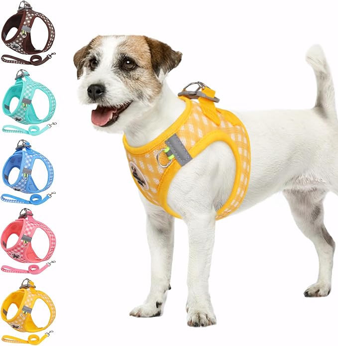 Gyuzh Dog Harness and Leash Set, Soft Mesh Breathable Small Dog Harness by Gyuzh