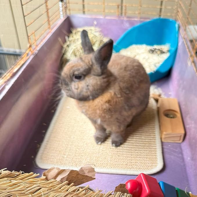 PODOO Bunny Scratch Pads, Sisal Rabbit Scratching Pad, Natural Rabbit Resting - Image 6