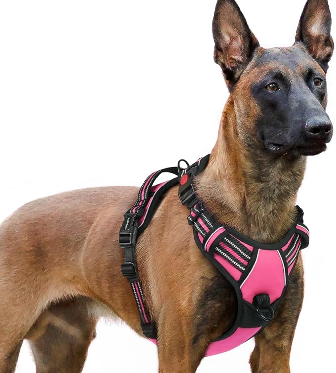 rabbitgoo Dog Harness for Large, No Pull Pet Harness by rabbitgoo