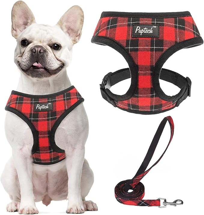 PUPTECK Soft Mesh Dog Harness and Leash Set Pet Puppy Cat Comfort Padded Vest by PUPTECK