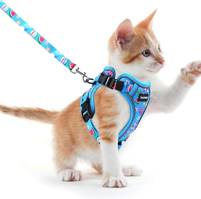 Halypet Cat Harness and Leash Set by DOMoreWithYourPet